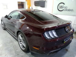 Foliowanie szyb Mustang